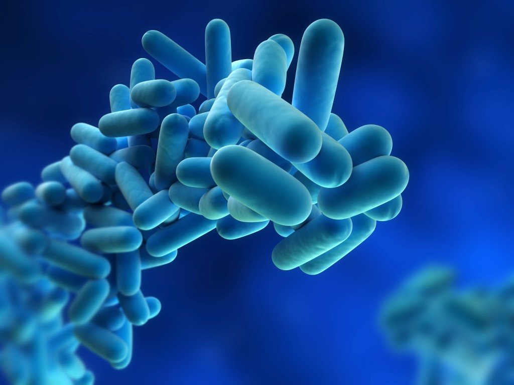 Legionella 1 e1475843723436