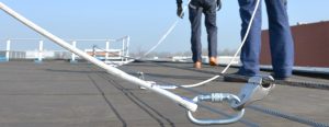 Eurocert linee vitaa